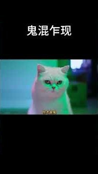 家里穿来诡异的哭声，竟然是进鬼了
