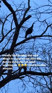 Dakota Pool on Reels