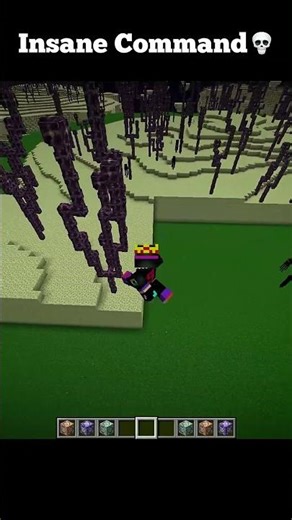 Cleaning End Island Cool Command in Minecraft 💀