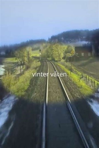 Winter Spring - Movie