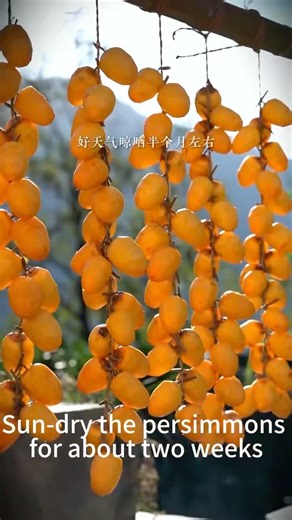 Nature’s Candy! 🧡 The Amazing Journey of a Persimmon. #Satisfying #Nature #Traditional