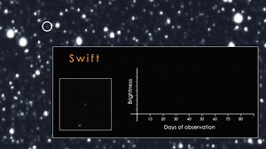 TESS Catches its First Star-destroying Black Hole
