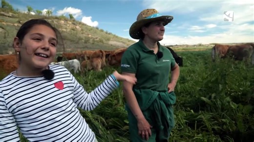 27K views · 440 reactions | Madre e hija trabajan mano a mano  ¿Es Alegría una Heidi del siglo XXI?  Puedes ver todos los reportajes de El campo es nuestro Aragón TV en su canal de #youtube ⏯️ https://www.youtube.com/watch?v=7A5-wm3FXXc | Aragón TV | Facebook