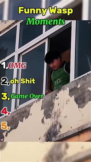 Top 5 funny wasp moments #ranking