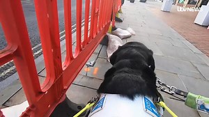 9.9K views · 227 reactions | Check out this amazing view of how a...