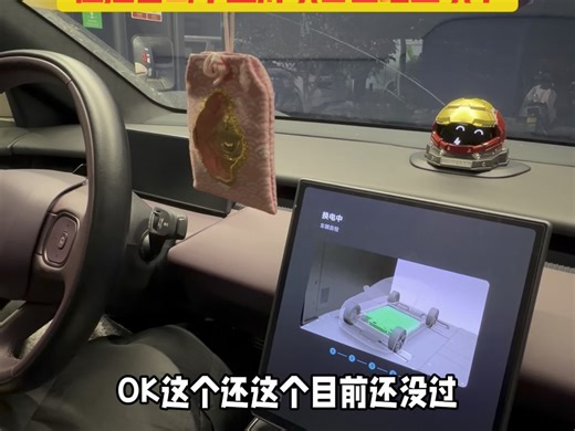 李天舒透露，Banyan系统8155升级8295芯片没过，但是智驾小蓝灯项目已经立项了！