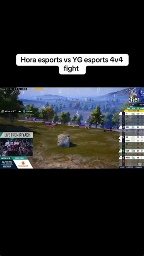 Hora Esports vs YG Esports 4v4 Fight Highlights