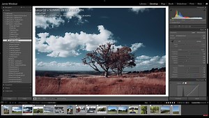15 Time-Saving Lightroom Tricks You Might Not Know