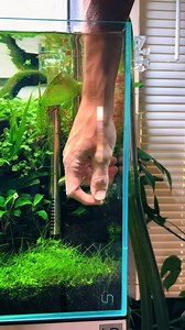 7.9K views · 39 reactions | CO2 is going, let's use this drop checker. #aquarium #plantedtank | Trip Aquarium | Facebook