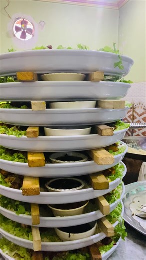 Cultural Diversity in Afghanistan: Tajik, Hazara, Uzbek, Pashtun, and Turkmen