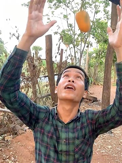 The Great Papaya Incident of 2026 #funny #relatable #comedy