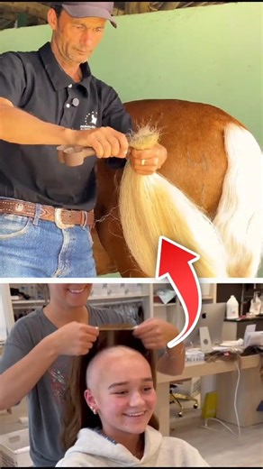 Her horse's tail helps cancer patients ❤️ #shorts #cancer #animals