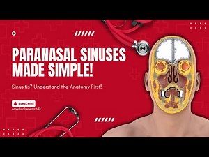 Paranasal Sinuses Anatomy | Functions & Sinusitis | Frontal, Maxillary, Ethmoidal, Sphenoidal