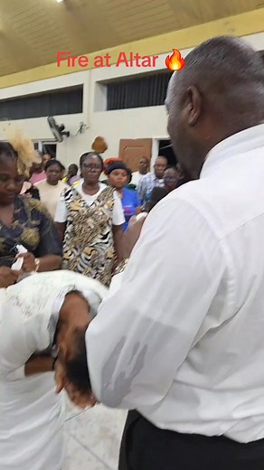 557 reactions · 18 shares | Peter Calvert on Reels | Facebook