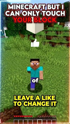 The Block Challenge That Got Out of Control #minecraft #shorts