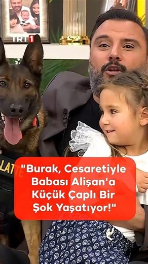 Alişan, Belçika Kurdu ile Fotoğraf Çektirmek İsteyince Yaşanan Heyecan Dolu Anlar #Alişan #TRT1