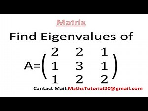 How to Easy Find Eigenvalues in 3 x 3 Matrix in Tamil l Important Problem l Sk Maths Tutorial