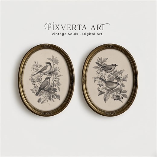 Vintage Bird Prints Set, Antique Botanical Printable Wall Art, French Country Cottagecore Decor - Etsy