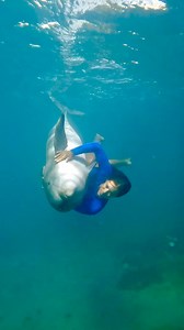 Mike Wazowski said it best. This is a partnership that goes far beyond training, healthcare, or routines—it’s a true friendship built on trust, respect, and shared understanding. These friendships are the heart of everything we do, thriving under our care and growing stronger with every passing day. | Dolphin Quest