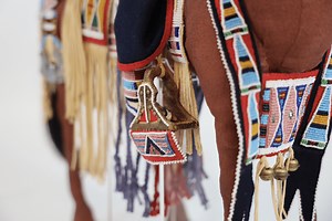 Rhonda Holy Bear: Artist and Story-Keeper - Barry Art Museum