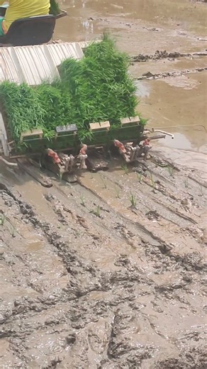 165K views · 1.1K reactions | Eto na ba ang solusyon sa kakulangan sa farm laborer @topfans #fbreels23 #highlightsシ゚ #fbreelsfypシ゚viral #fbreels #fbreelsvideo #gofarmtv #fbshorts #loyalty #highlight | GoFarm TV | Facebook