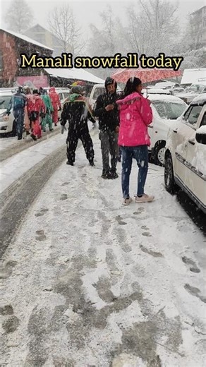 manali weather today | manali current situation | manali snowfall today | manali today #manalitoday