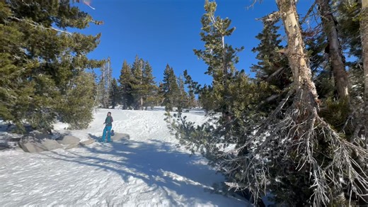 Scenic views of Lake Tahoe along the Chickadee Ridge Trail on Saturday. | Adventures With Jeff Martinez