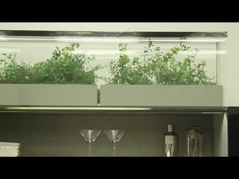 Ideas That Matter: The Hidden Kitchen