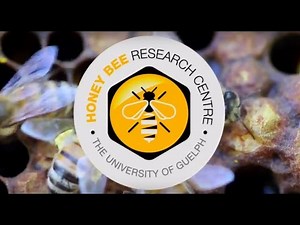 UoG's Honey Bee Research Centre