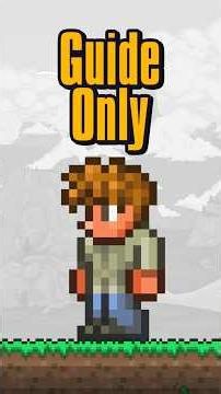 Beating Terraria EXACTLY How the Guide Says