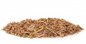 Benefícios da catuaba, como consumir e cuidados