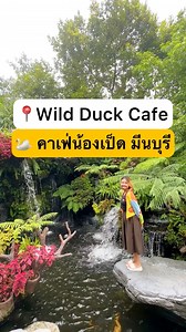 📍Wild Duck Cafe คาเฟ่เปิดใหม่ #มีนบุรี ถ่ายรูปกับน้องเป็ดก้าบก้าบสุดคิวท์💖 #รีวิวคาเฟ่ #เที่ยวกรุงเทพ #คาเฟ่กรุงเทพ | Sneak out หนีเที่ยว