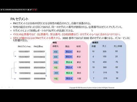 SAP CO-PA 収益性分析 - PAセグメント