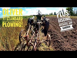 Oliver 77 Standard Plowing With An Oliver No. 8A!