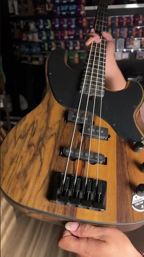 Schecter Model-T 4 Exotic in Black Limba : Finally Schecter made the PERFECT Bass!!