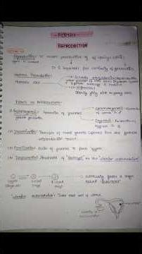 Class-12th Human Reproduction Notes #class12 #neet #biology #notes #ytshorts