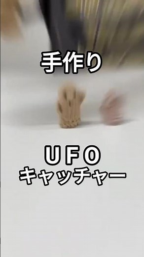 【夏休み工作】簡単！手作りUFOキャッチャーを作ってみた！#知育 #工作 #夏休み工作 #図工 #おもちゃ #shorts #tiktok