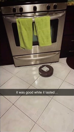 I Thought the Robot Vacuum Would Help... 🤖💔 #Failed