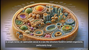 Operculate ascus in biology