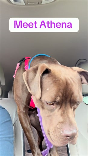 3.1K views · 80 reactions | Looking for a reason to smile today?...