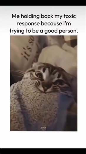 @_jowyg on Instagram: "IM CRYING 😭😭😭😭 #relatable #funnymemes #Memes #viral #foryoupage #trending #funnymemes😂"