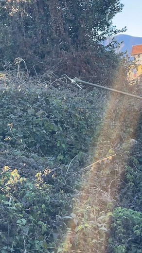 4.6K views · 327 reactions | Sfalcio rovi con lama a due denti | BazarGiusto | Facebook