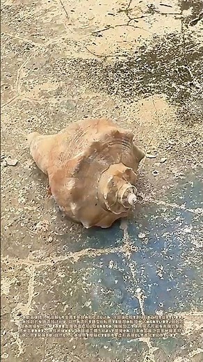 鋳物が紡ぐ異素材の邂逅