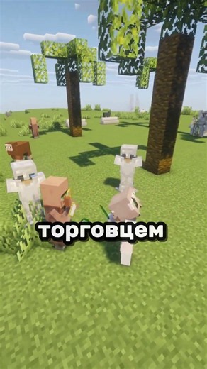 Where Do Players Choose to LIVE on This Minecraft Server?