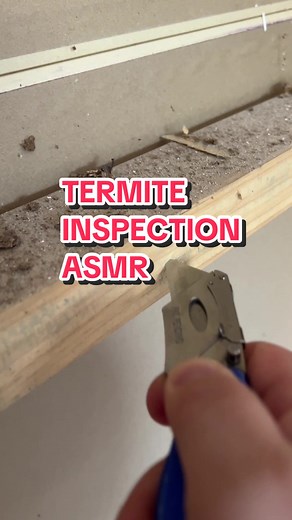Termite Inspection ASMR: Satisfying Sounds of Pest Control