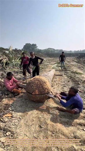 Construction navale traditionnelle : fendre des troncs de palmier pour la fabrication de pirogues