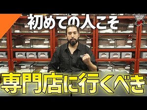 [Super Beginner's Guide] Comparing Where to Buy a Ball Python! Explaining the Differences Between...