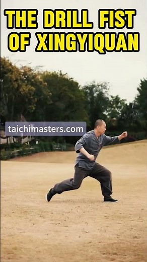 Zuan Quan: The Drilling Fist of Xing Yi | Penetrating Power Technique | Master Mo
