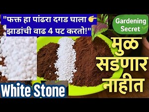 “Perfect Potting Mix Formula | 90% लोकांना माहीत नसलेलं Gardening Secret!”Perlite gardening Marathi