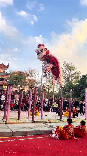 中國🇨🇳舞獅 The Chinese lion dance culture performance in Chinese Spring Festival #Chinese #China #liondance #culture #fyp